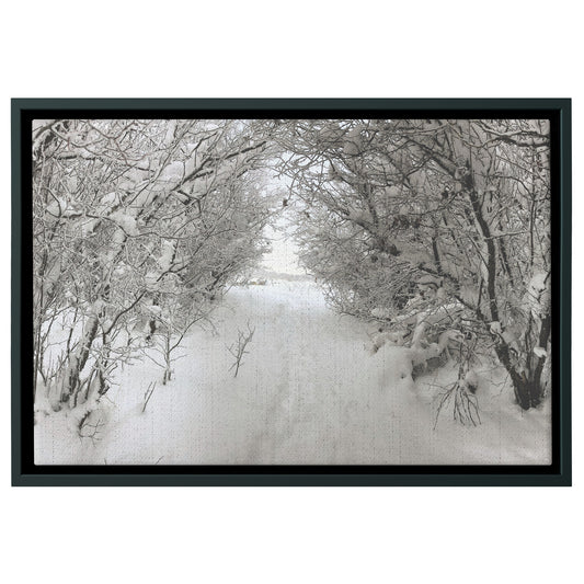 Pullman Snow Framed Canvas