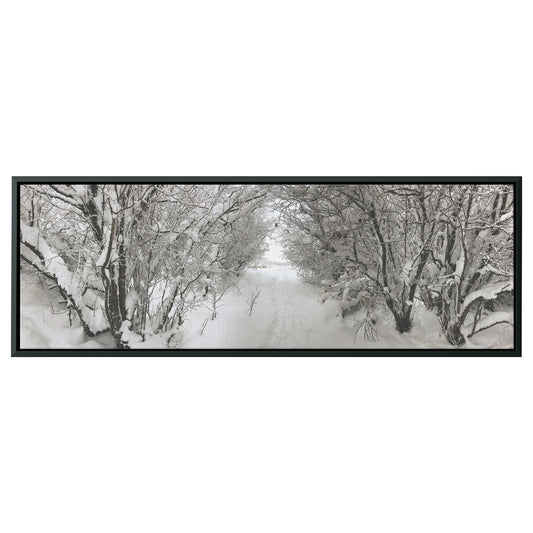 Pullman Snow Panoramic Framed Canvas