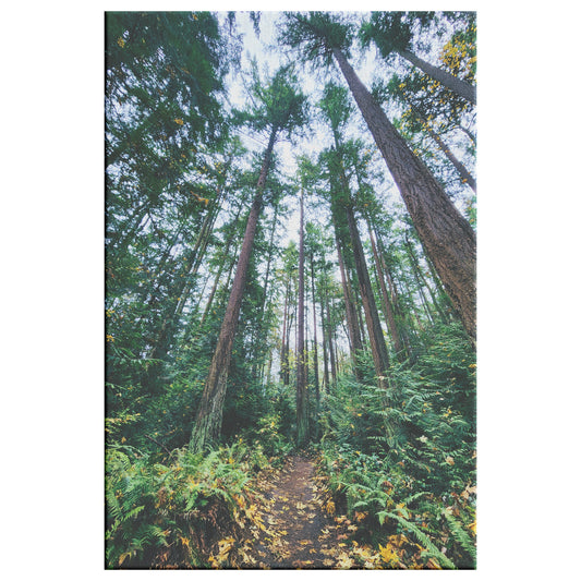 St. Edwards Trail Canvas Wrap
