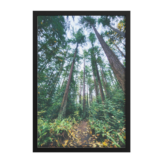 St. Edwards Trail Framed Print