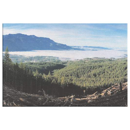 Wallace Falls Clearing Canvas Wrap