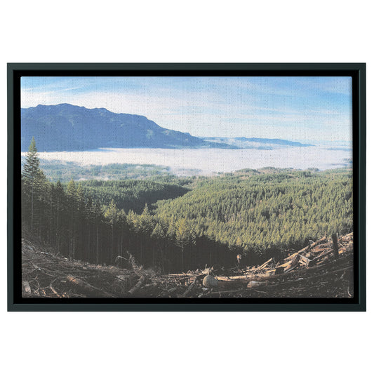 Wallace Falls Clearing Framed Canvas