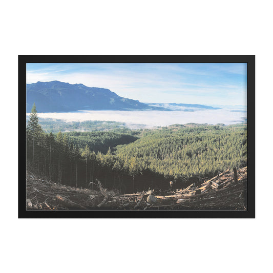 Wallace Falls Clearing Framed Print